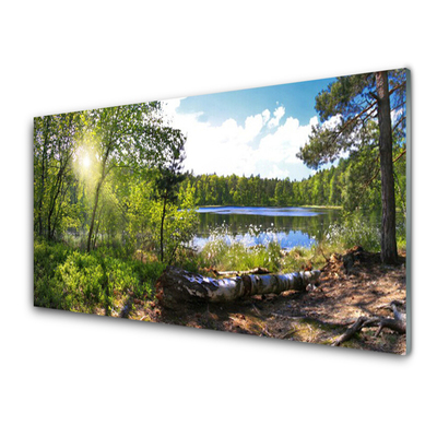 Acrylglasbilder Wandbilder aus Plexiglas® 125x50 Baum See Natur 