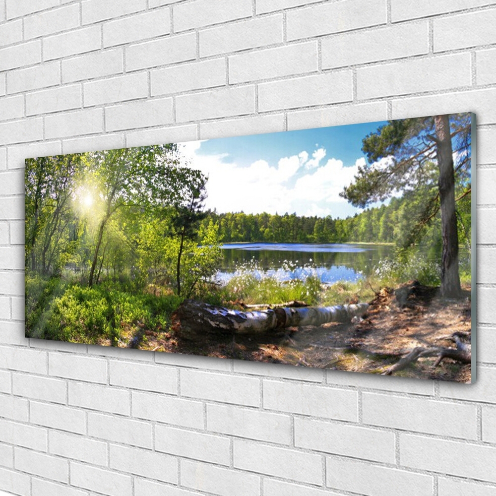 Tulup Glasbilder Wandbild Dekobild 140x70 Wasserfall See Wald Natur 