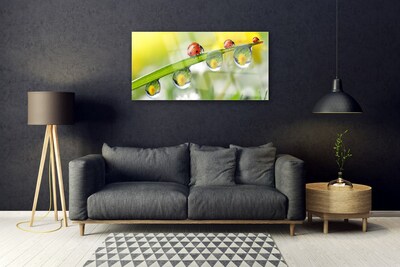 Glasbild aus Plexiglas® Blatt Marienkäfer Tautropfen Natur