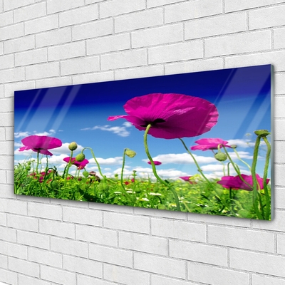 Glasbild aus Plexiglas® Wiese Blumen Natur