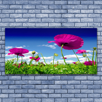 Glasbild aus Plexiglas® Wiese Blumen Natur