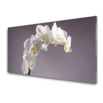 Glasbild aus Plexiglas® Blumen Pflanzen