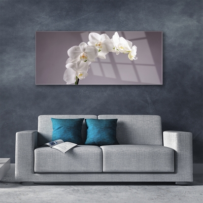 Glasbild aus Plexiglas® Blumen Pflanzen