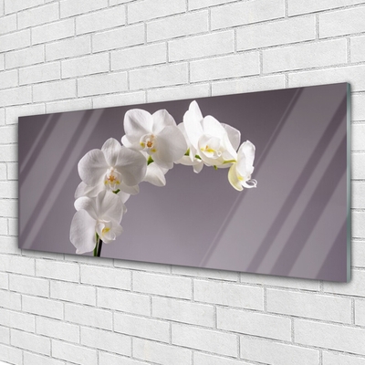 Glasbild aus Plexiglas® Blumen Pflanzen