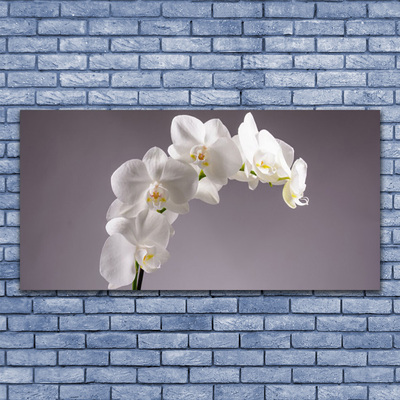 Glasbild aus Plexiglas® Blumen Pflanzen