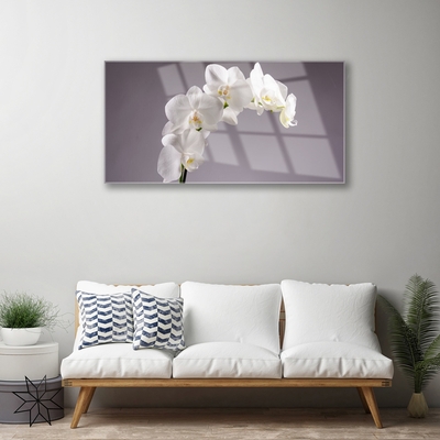 Glasbild aus Plexiglas® Blumen Pflanzen