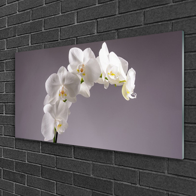 Glasbild aus Plexiglas® Blumen Pflanzen