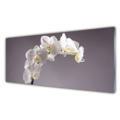 Glasbild aus Plexiglas® Blumen Pflanzen