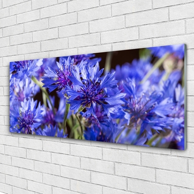 Glasbild aus Plexiglas® Blumen Pflanzen