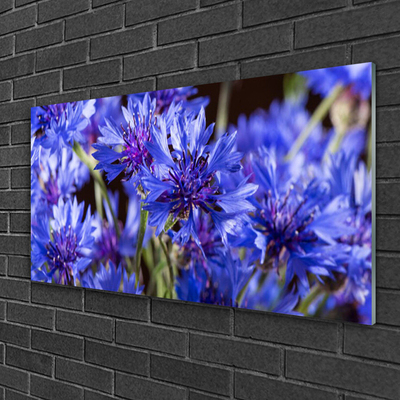 Glasbild aus Plexiglas® Blumen Pflanzen