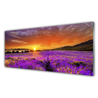 Glasbild aus Plexiglas® Sonne Wiese Blumen Natur