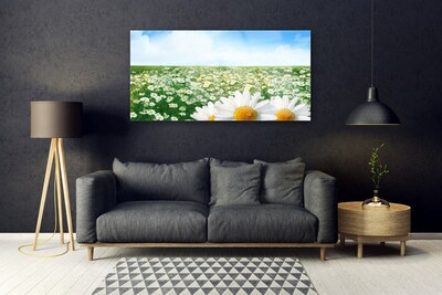 Glasbild aus Plexiglas® Wiese Gänseblümchen Pflanzen