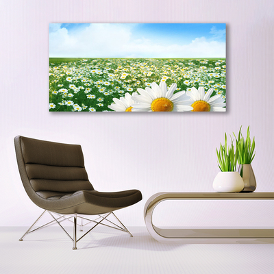 Glasbild aus Plexiglas® Wiese Gänseblümchen Pflanzen