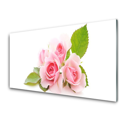 Glasbild aus Plexiglas® Rosen Pflanzen