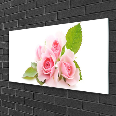 Glasbild aus Plexiglas® Rosen Pflanzen