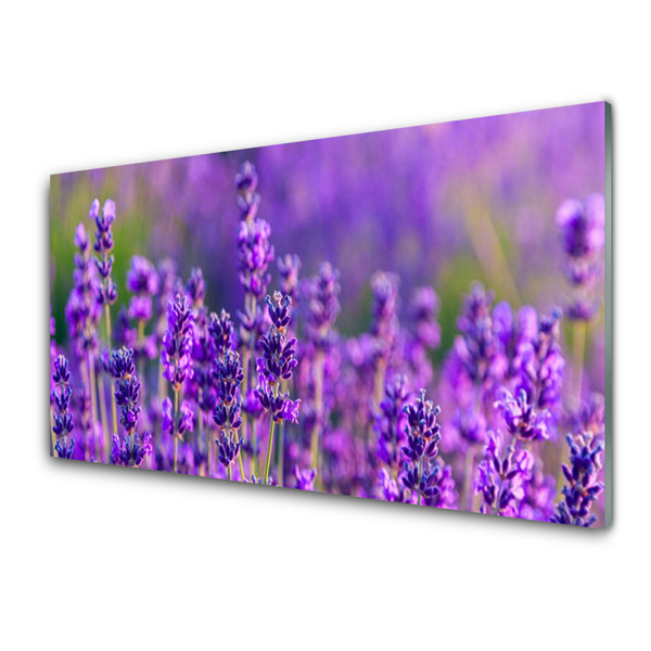 Glasbild aus Plexiglas® Blumen Pflanzen