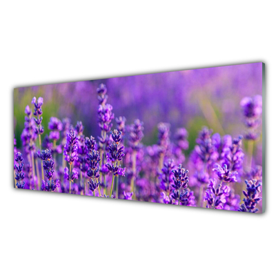 Glasbild aus Plexiglas® Blumen Pflanzen