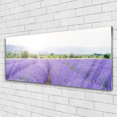 Glasbild aus Plexiglas® Wiese Blumen Natur