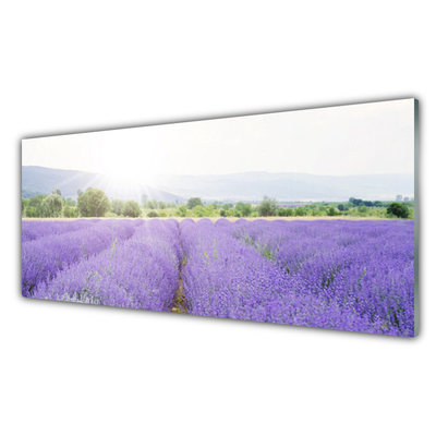 Glasbild aus Plexiglas® Wiese Blumen Natur