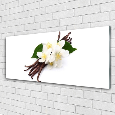 Glasbild aus Plexiglas® Vanille Pflanzen