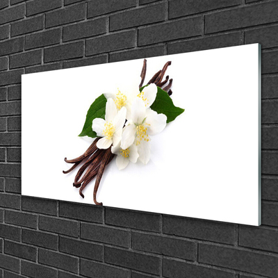 Glasbild aus Plexiglas® Vanille Pflanzen