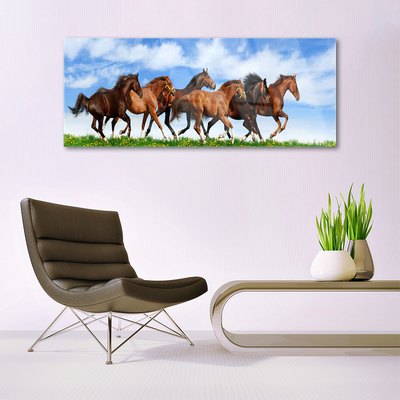 Glasbild aus Plexiglas® Pferde Tiere