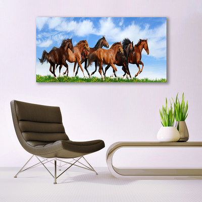 Glasbild aus Plexiglas® Pferde Tiere