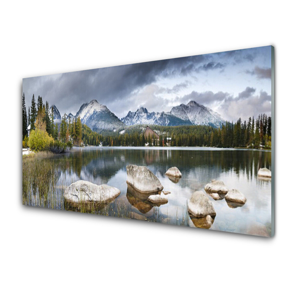 Glasbild aus Plexiglas® Gebirge Wald See Landschaft