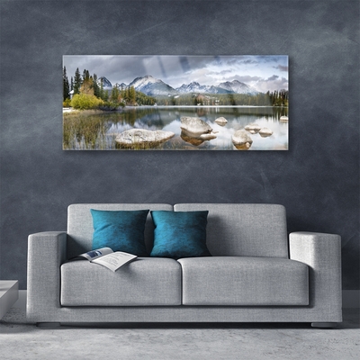 Glasbild aus Plexiglas® Gebirge Wald See Landschaft