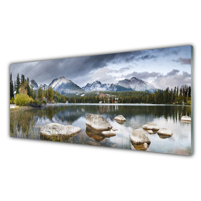 Glasbild aus Plexiglas® Gebirge Wald See Landschaft