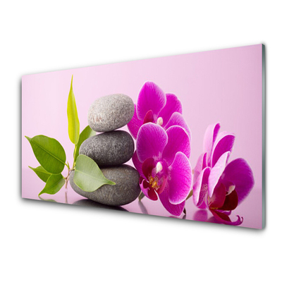 Glasbild aus Plexiglas® Blumen Steine Blätter Pflanzen