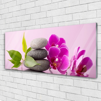 Glasbild aus Plexiglas® Blumen Steine Blätter Pflanzen