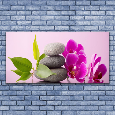 Glasbild aus Plexiglas® Blumen Steine Blätter Pflanzen
