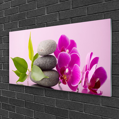 Glasbild aus Plexiglas® Blumen Steine Blätter Pflanzen