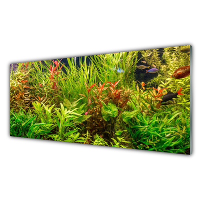 Glasbild aus Plexiglas® Blattpflanzen Pflanzen