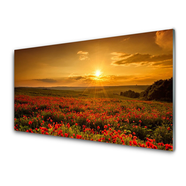 Glasbild aus Plexiglas® See Wiese Blumen Natur