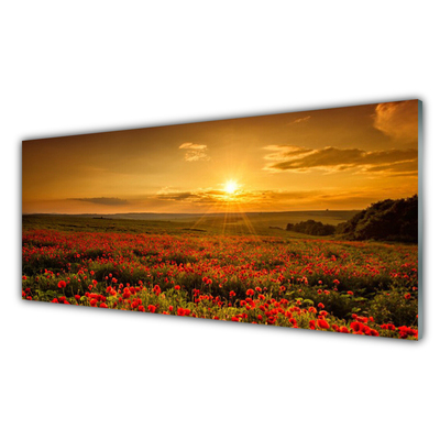 Glasbild aus Plexiglas® See Wiese Blumen Natur