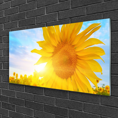 Glasbild aus Plexiglas® Sonnenblume Pflanzen