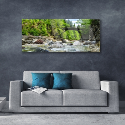 Glasbild aus Plexiglas® Wald Brücke See Steine Landschaft