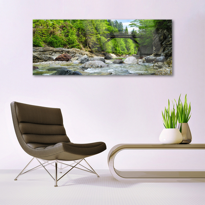 Glasbild aus Plexiglas® Wald Brücke See Steine Landschaft