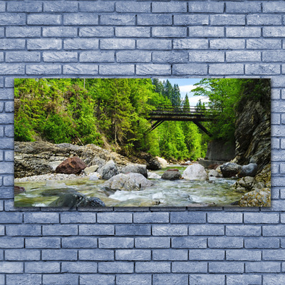 Glasbild aus Plexiglas® Wald Brücke See Steine Landschaft