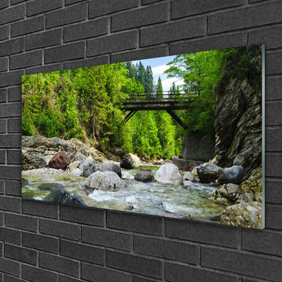 Glasbild aus Plexiglas® Wald Brücke See Steine Landschaft