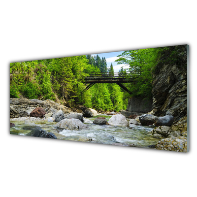 Glasbild aus Plexiglas® Wald Brücke See Steine Landschaft