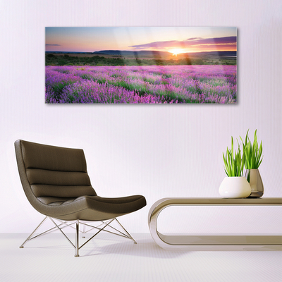 Glasbild aus Plexiglas® Sonne Wiese Blumen Natur