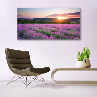 Glasbild aus Plexiglas® Sonne Wiese Blumen Natur