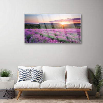 Glasbild aus Plexiglas® Sonne Wiese Blumen Natur