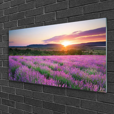 Glasbild aus Plexiglas® Sonne Wiese Blumen Natur