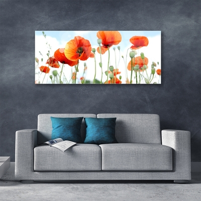 Glasbild aus Plexiglas® Mohnblumen Pflanzen