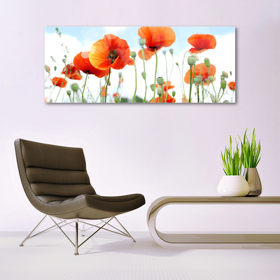 Glasbild aus Plexiglas® Mohnblumen Pflanzen