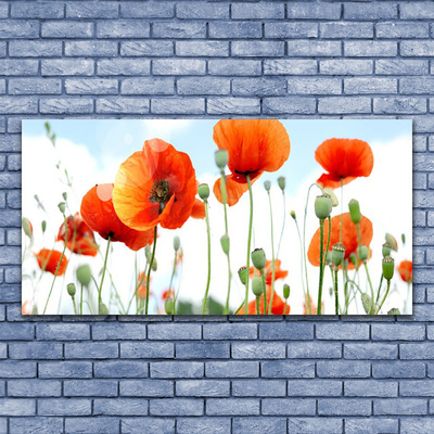 Glasbild aus Plexiglas® Mohnblumen Pflanzen